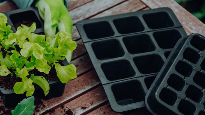 Groen Begin: Duurzaam (moes)tuinieren zonder chemie