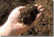 Compost